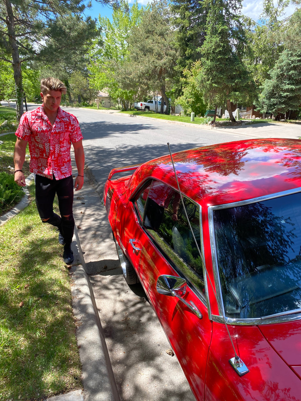 Hawaiian Shirt